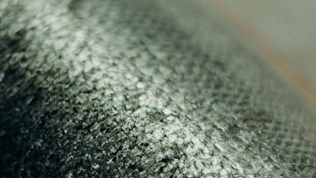 Foto de Bienvenido a casa por undefined.