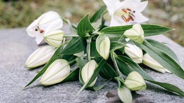 Foto de J. por undefined.