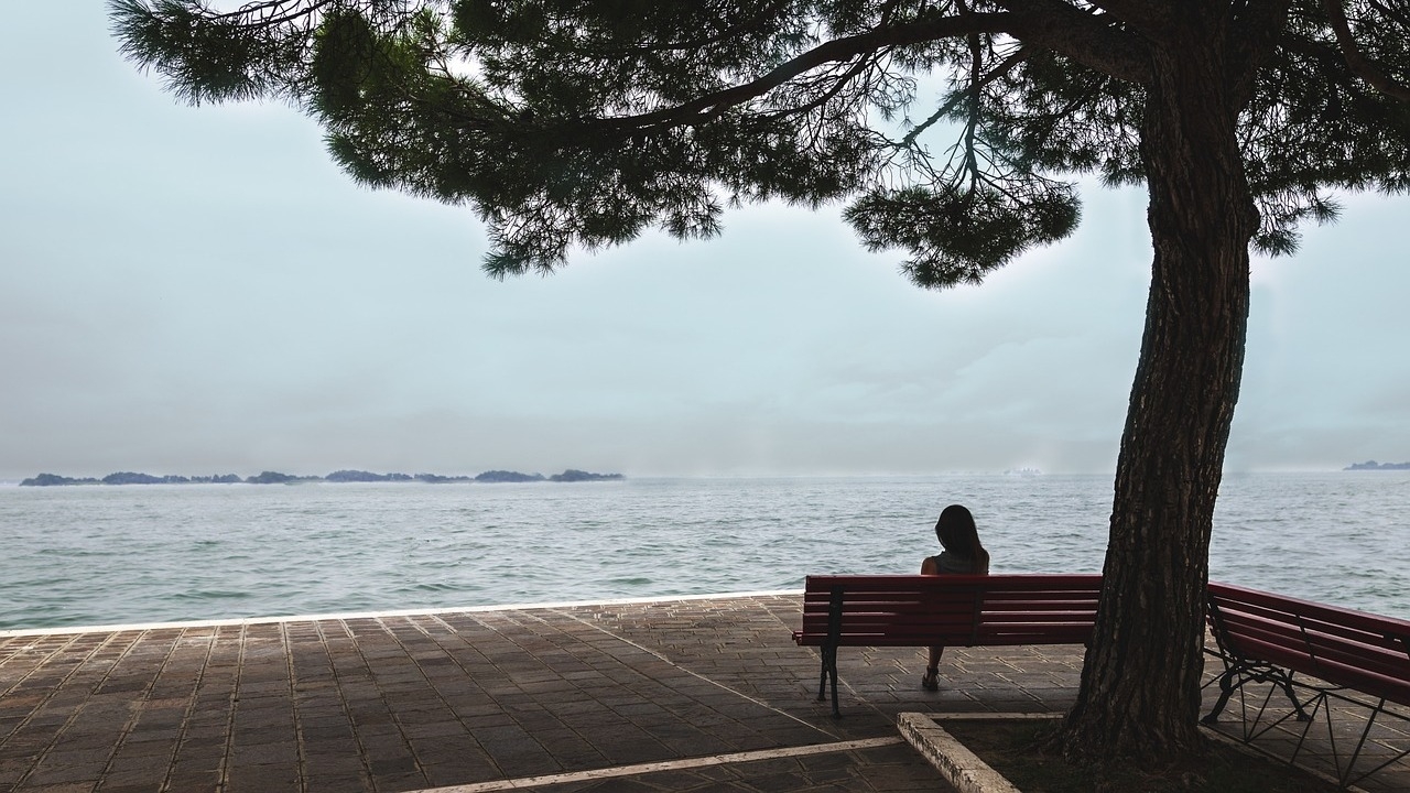 Imagen de: Variaciones del silencio