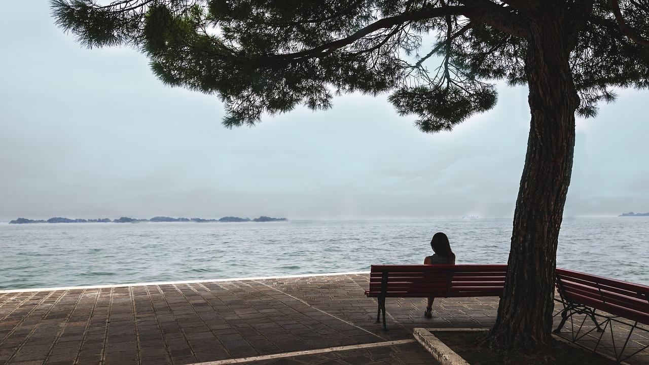 Foto de Variaciones del silencio por undefined.