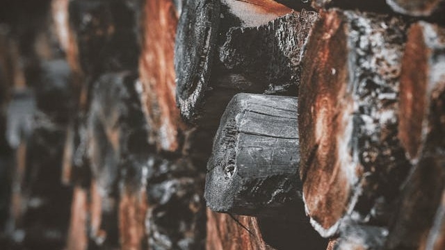 Imagen de: Poemas breves XXIV