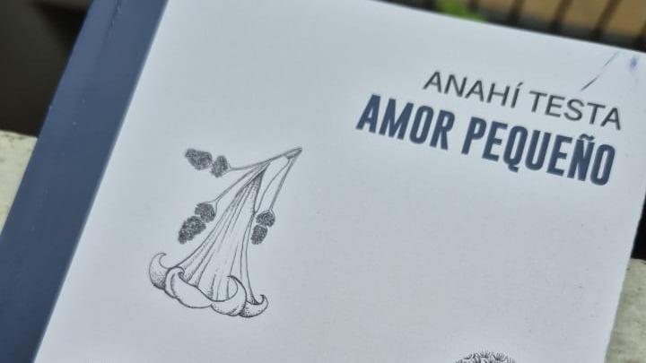Foto de Poemas del libro Amor pequeño por undefined.