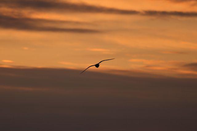 Foto de Poemas breves XXVI por David Kanigan.